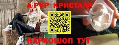 стаф Берёзовский