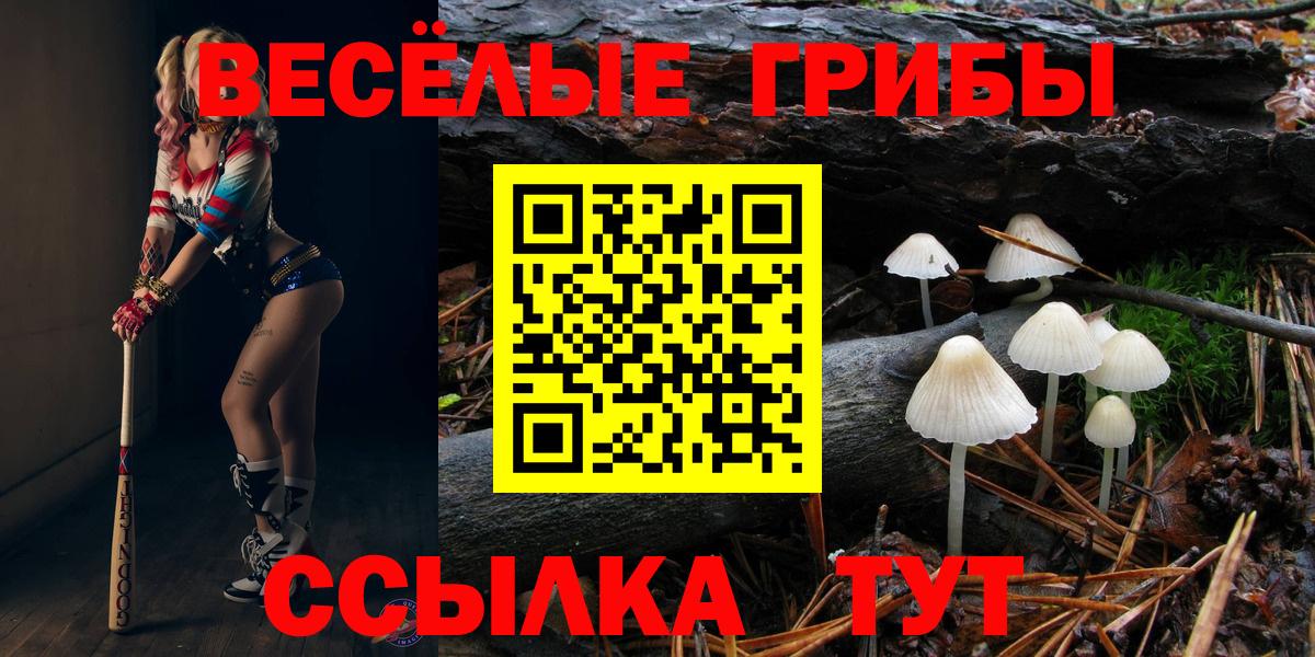 Псилоцибиновые грибы Magic Shrooms  Вход с VPN  Галлюциногенные грибы Psilocybe  Керчь 