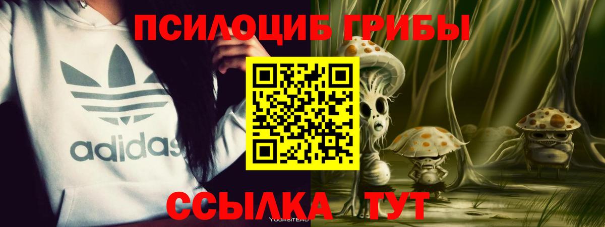 Кокаин  Экстази  Бошки Шишки  Вход с VPN  НБОМе  Наркошоп  ГАШИШ  Меф МЯУ МЯУ кристаллы  Керчь  МЕТ 